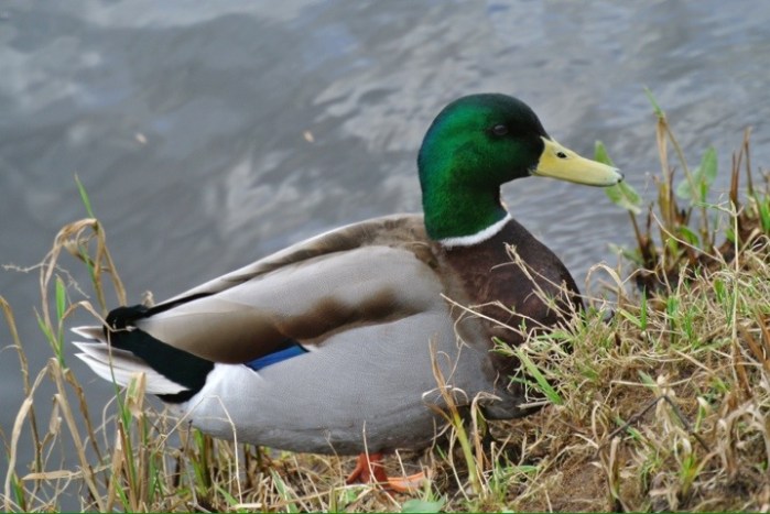 20120303-182015.jpg