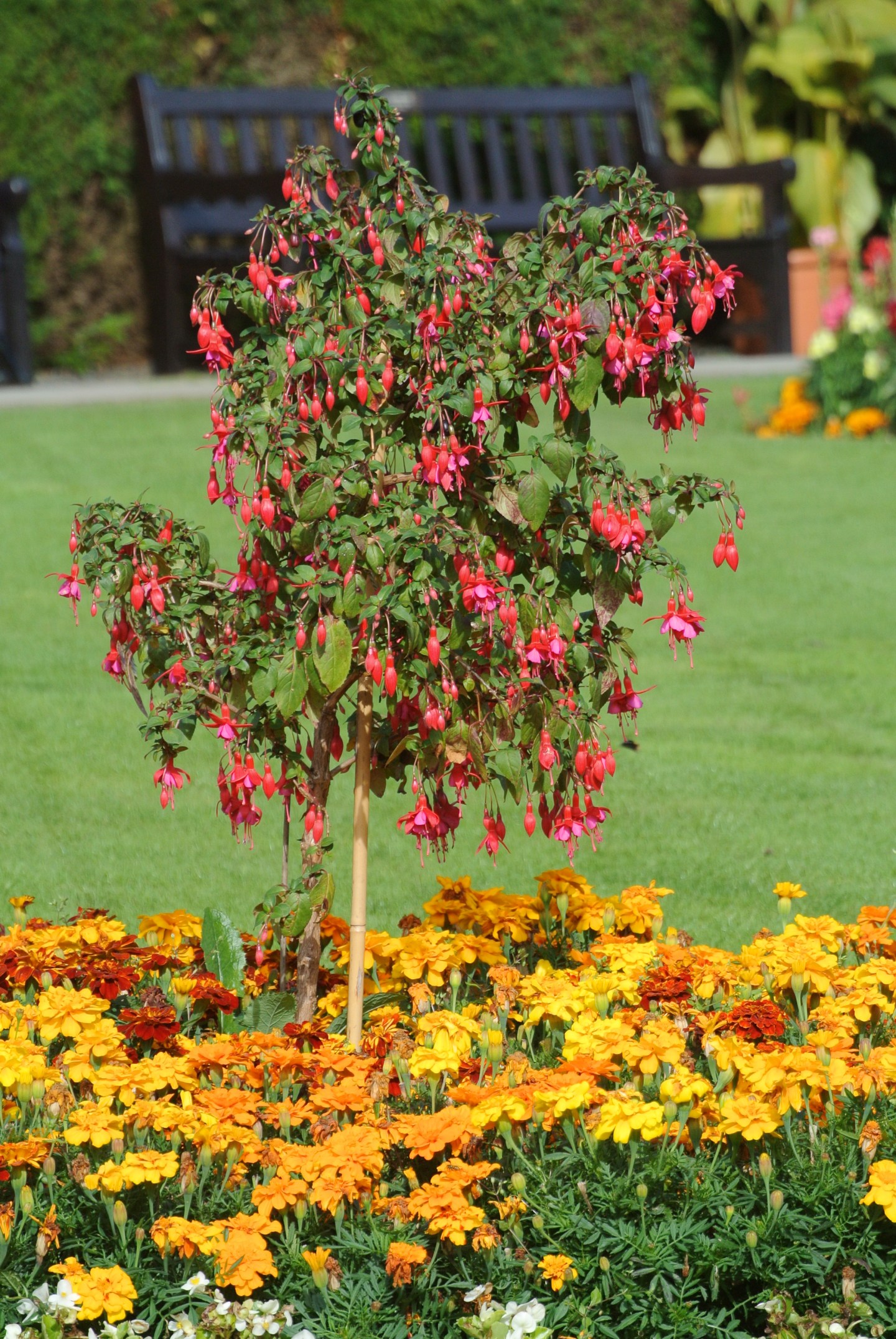 Gardens, Pollok House