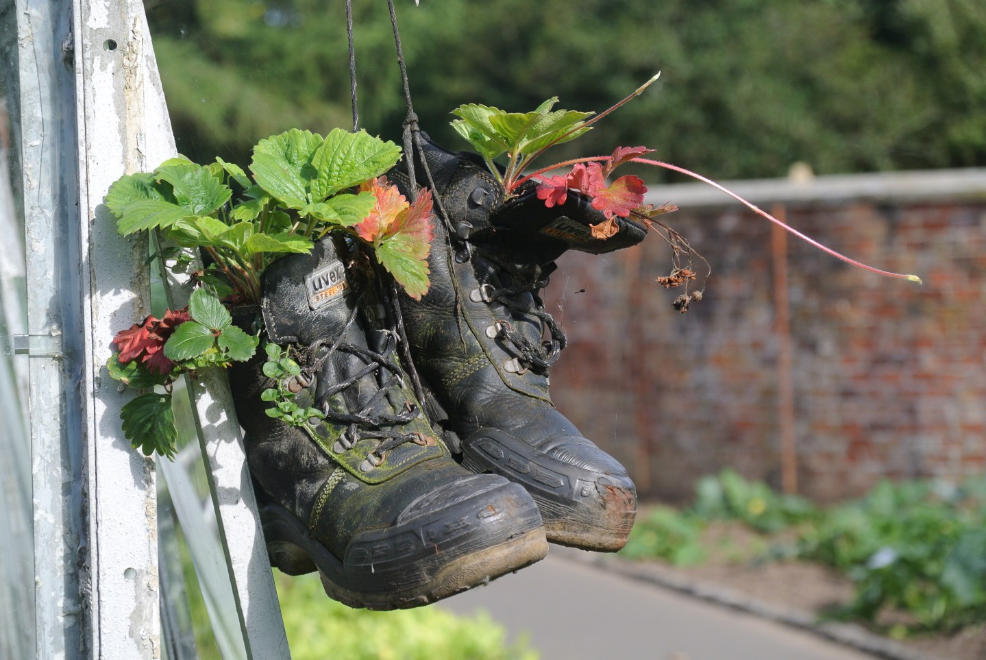 Gardens, Pollok House