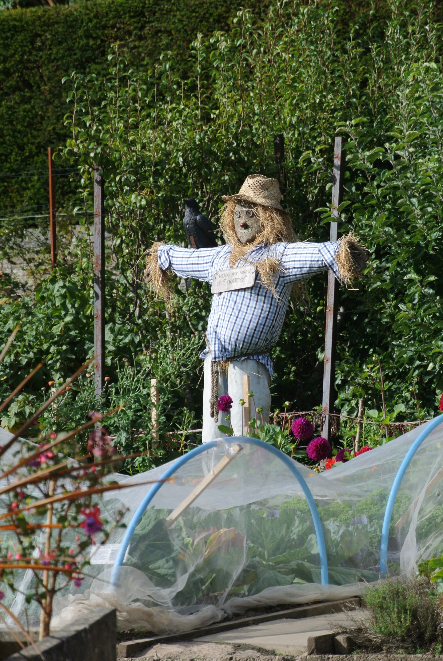 Scarecrow, Pollok House