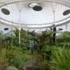 Kibble Palace