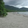 Cape Tribulation