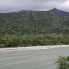Cape Tribulation