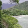 Cape Tribulation