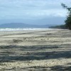 Cape Tribulation
