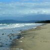 Cape Tribulation