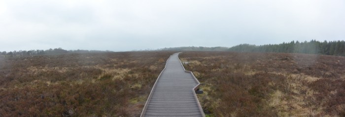 Langlands Moss