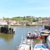 Whitby