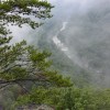 Endless Wall trail, New River Gorge,&nbsp;WV