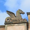 Kelpie on the Briggait&nbsp;Roof