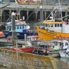 Newlyn harbour