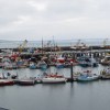 Newlyn harbour