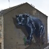 Glasgow Street Art
