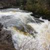 Falls of Clyde