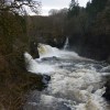 Falls of Clyde