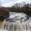 Falls of Clyde