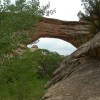 Natural Bridges National&nbsp;Monument
