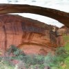 Escalante Natural Bridge