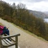 Loughrigg Terrace, Grasmere