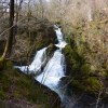 Colwith Force