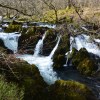 Colwith Force