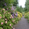 Dawyck Botanic Garden