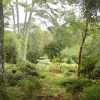 Inverewe Garden