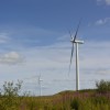 Whitelee Windfarm