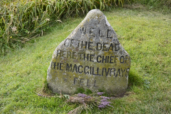 Here the Chief of MacGillivrays fell