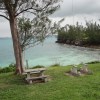 Bermuda Benches