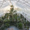 Winter Gardens, Glasgow
