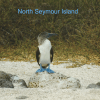 North Seymour Island