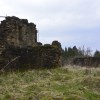 Cadzow Castle