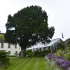 Inveresk Lodge Garden