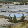 Norris Geyser Basin