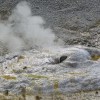 Norris Geyser Basin