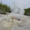 Norris Geyser Basin