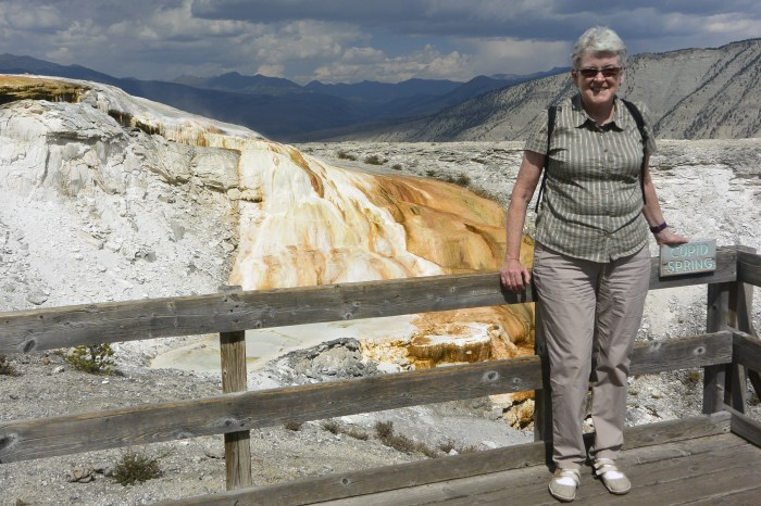 Mammoth Springs