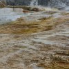 Mammoth Hot Springs
