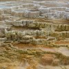 Mammoth Hot Springs