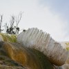 Mammoth Hot Springs