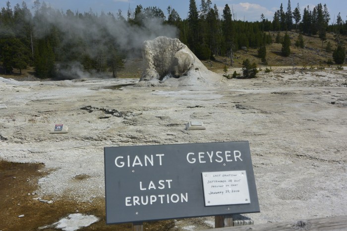 Giant Geyser