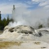 Yellowstone NP