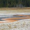 Yellowstone NP
