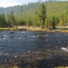 Yellowstone NP
