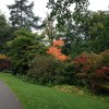 Glasgow Botanic Gardens