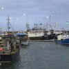 Pittenweem Harbour