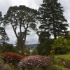 Brodick Castle Gardens