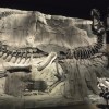Royal Tyrrell Museum of&nbsp;Palaeontology