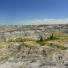 Horseshoe Canyon